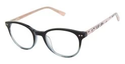 Ted Baker B981 Glasses