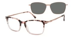 Revolution Eyewear SHERIDAN Glasses