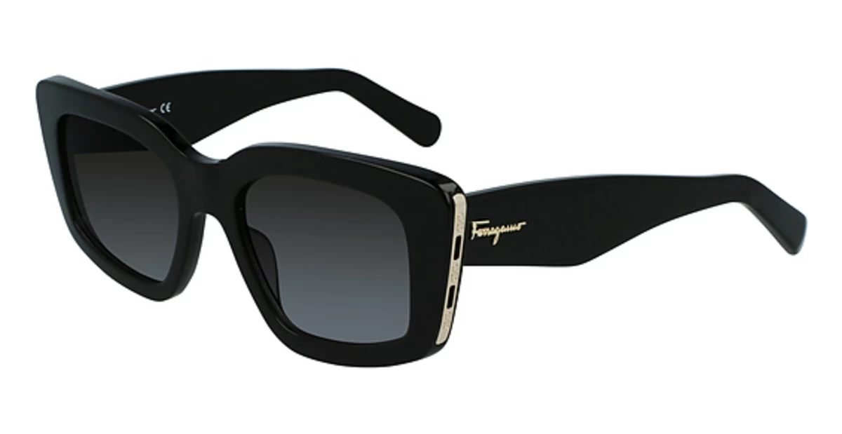 Salvatore Ferragamo SF1024S Glasses 1 Salvatore Ferragamo SF1024S Glasses