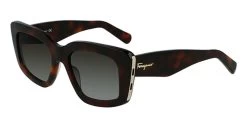 Salvatore Ferragamo SF1024S Glasses 9 Salvatore Ferragamo SF1024S Glasses -Easy Glasses shop. 5d1c1052