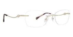 Totally Rimless Trellis(323) Glasses
