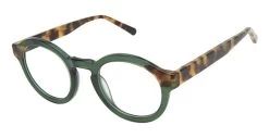 Ted Baker B990 Glasses