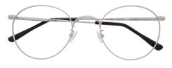 Dolomiti Eyewear DM8L Skull Glasses -Easy Glasses shop. dm8l skull satin silver