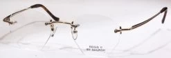 Shuron Regis II Glasses -Easy Glasses shop. dsc 00056