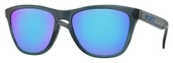 Oakley Frogskins OO9013 Glasses