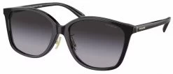 Coach HC8361F Glasses