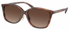 Coach HC8361F Glasses -Easy Glasses shop. hc8361f caramel tortoise polarized