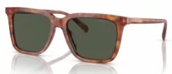 Coach HC8385U CL910 Glasses -Easy Glasses shop. hc8385u cl910 caramel tortoise