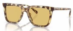 Coach HC8385U CL910 Glasses -Easy Glasses shop. hc8385u cl910 honey tortoise