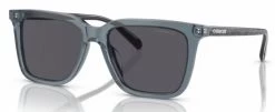 Coach HC8385U CL910 Glasses -Easy Glasses shop. hc8385u cl910 transparent blue
