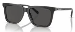 Coach HC8385U CL910 Glasses -Easy Glasses shop. hc8385u cl910 transparent dark grey