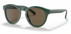 Polo PH4184 Glasses -Easy Glasses shop. ph4184 shiny forest green