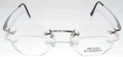 Shuron Regis II Glasses -Easy Glasses shop. regisiisilverskull temples