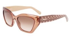 Salvatore Ferragamo SF1043S Glasses -Easy Glasses shop. sf1043s transparent brown